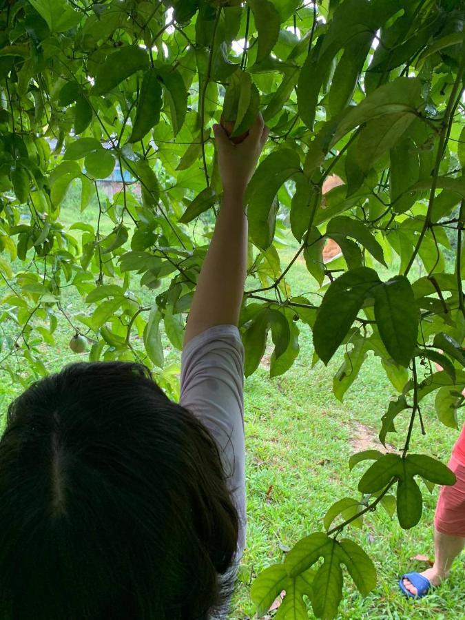 Pai Bjooc Homestay Tuyen Quang Εξωτερικό φωτογραφία