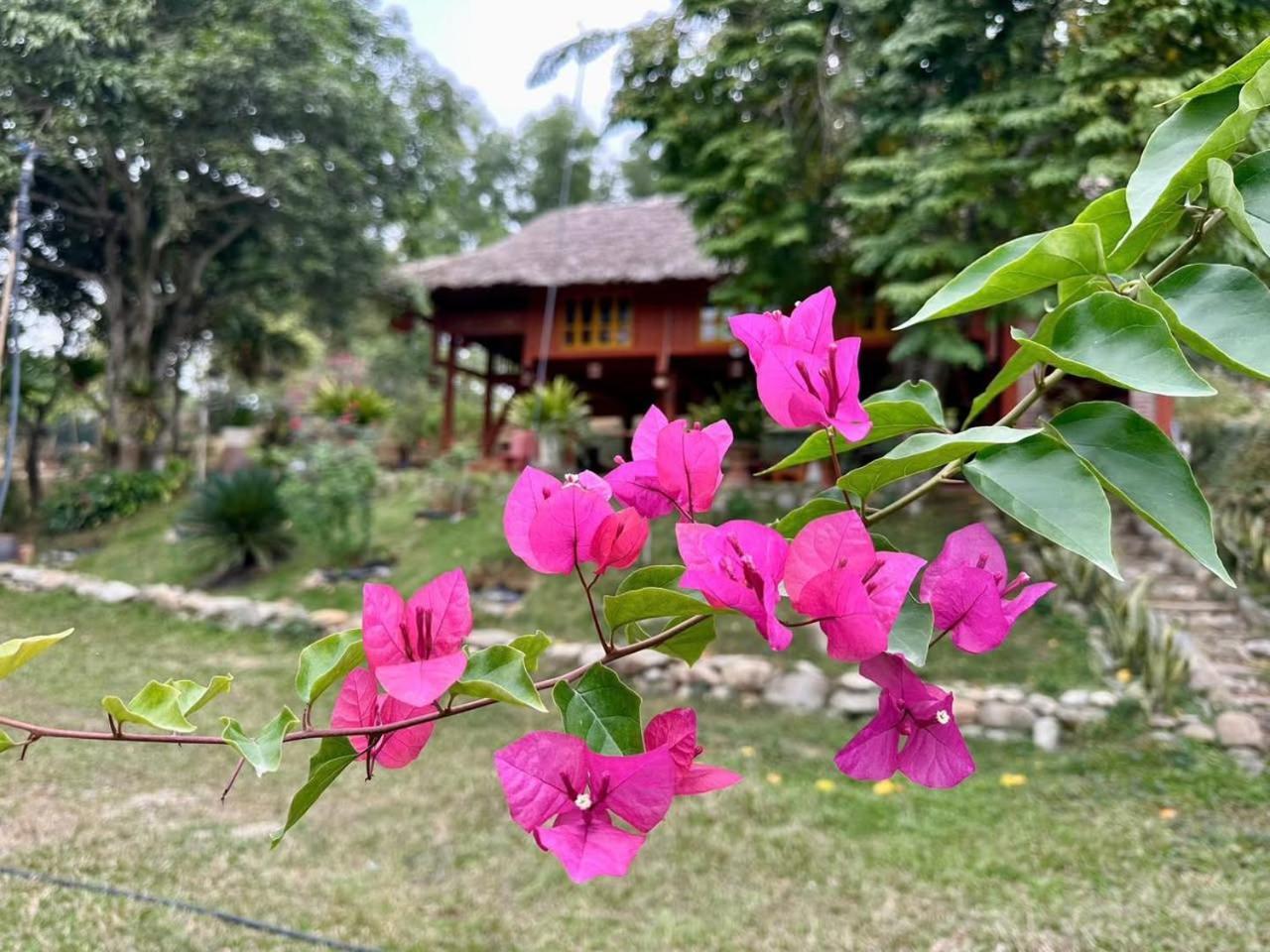 Pai Bjooc Homestay Tuyen Quang Εξωτερικό φωτογραφία
